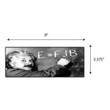 Einstein FJB Sticker